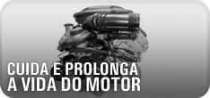 Cuida e prolonga a vida do motor